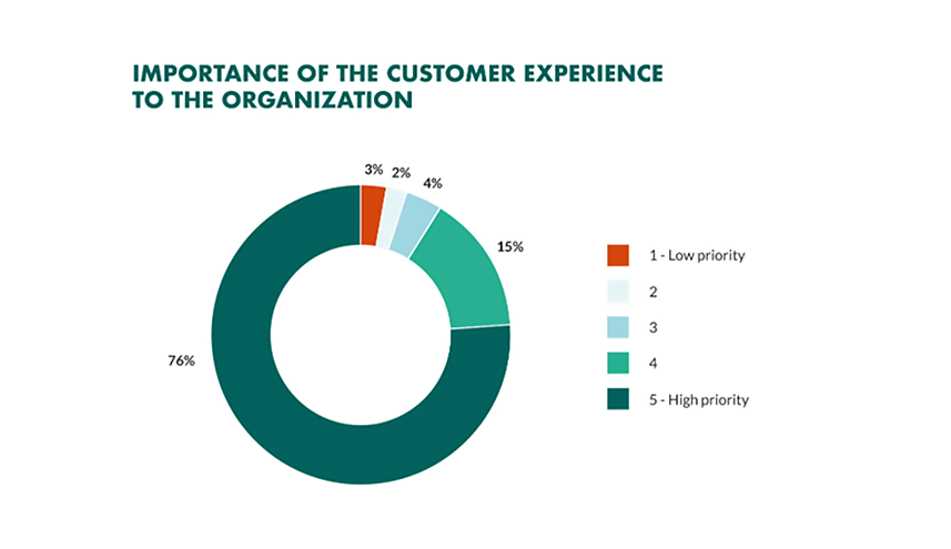 importance of customer experience to organizations